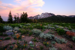 Colorful Colorado - Lifestyle Denver