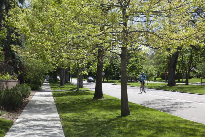 Congress Park Lifestyle Denver Real Estate