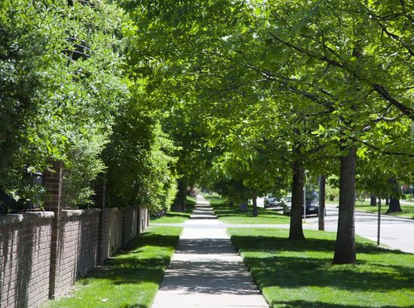 Congress Park Lifestyle Denver Real Estate