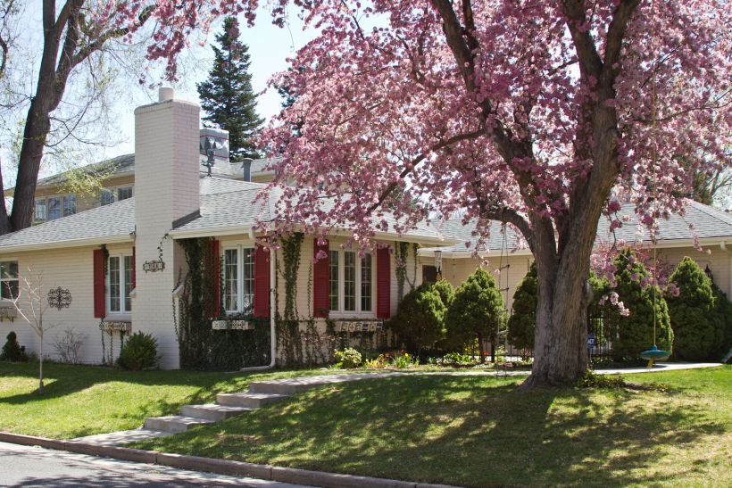 Mayfair/Montclair Denver Vintage Homes on Large Lots